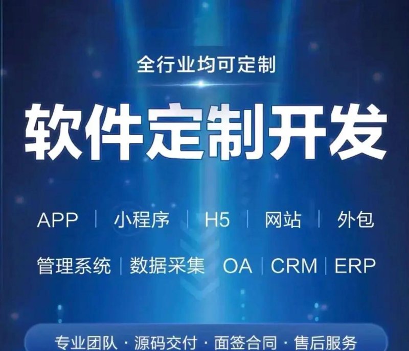 软件定制开发:企业数字转型的助力器